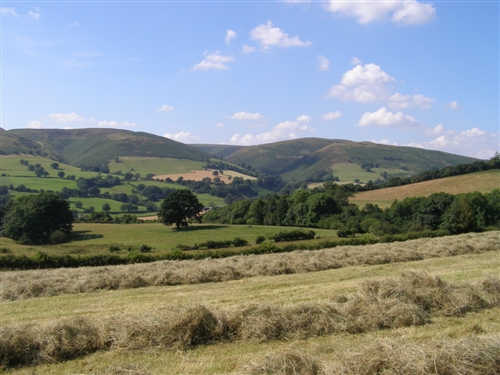 Long Mynd