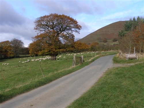 Acton 

Scott Farm Walk